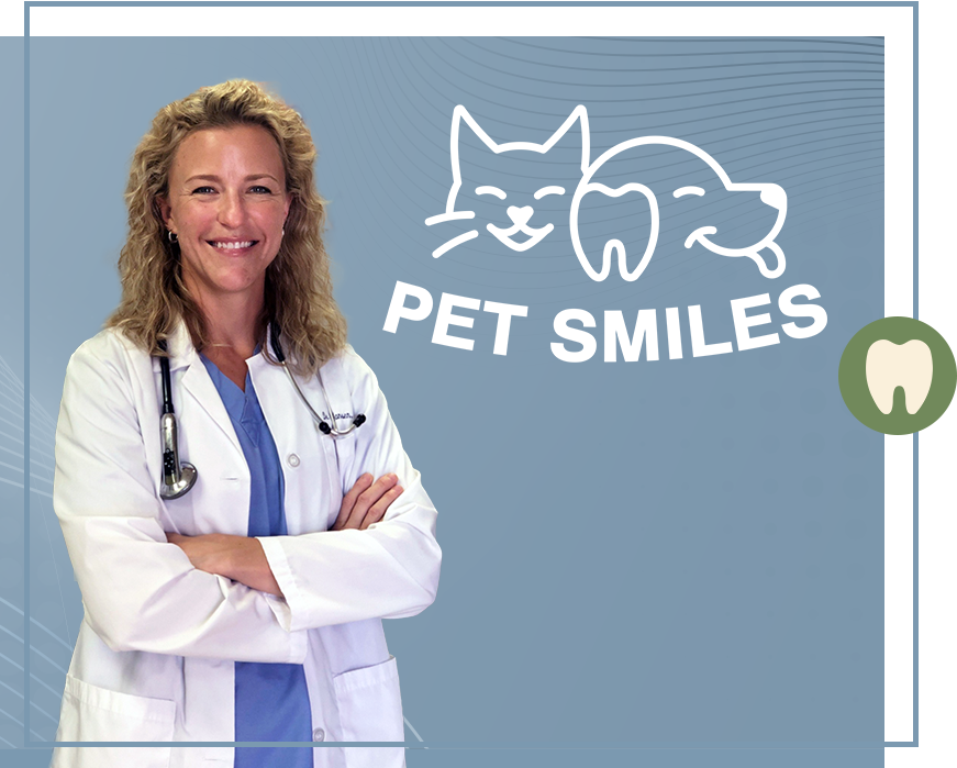 Pet Smiles General Veterinary Dentistry Gilbert AZ